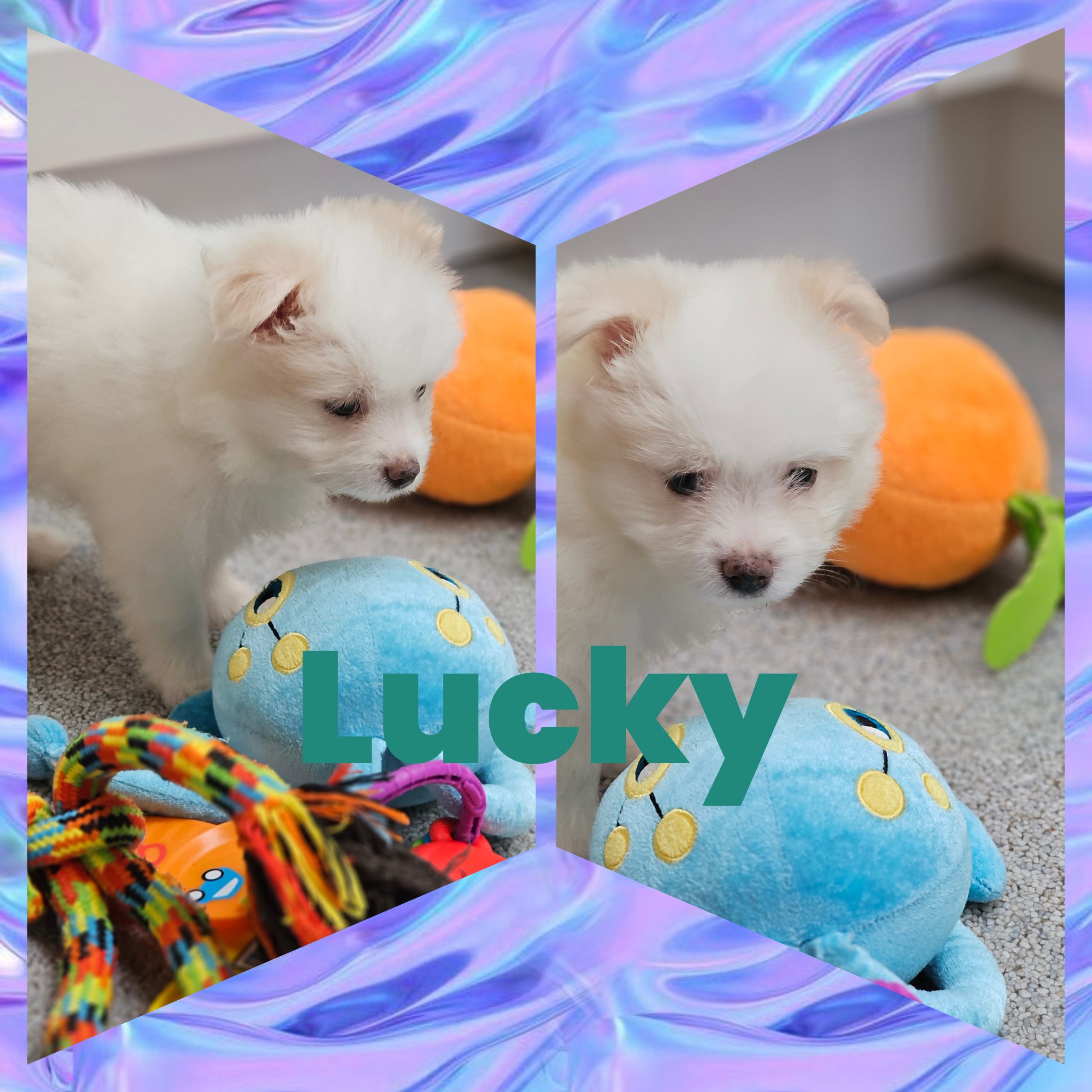 Lucky