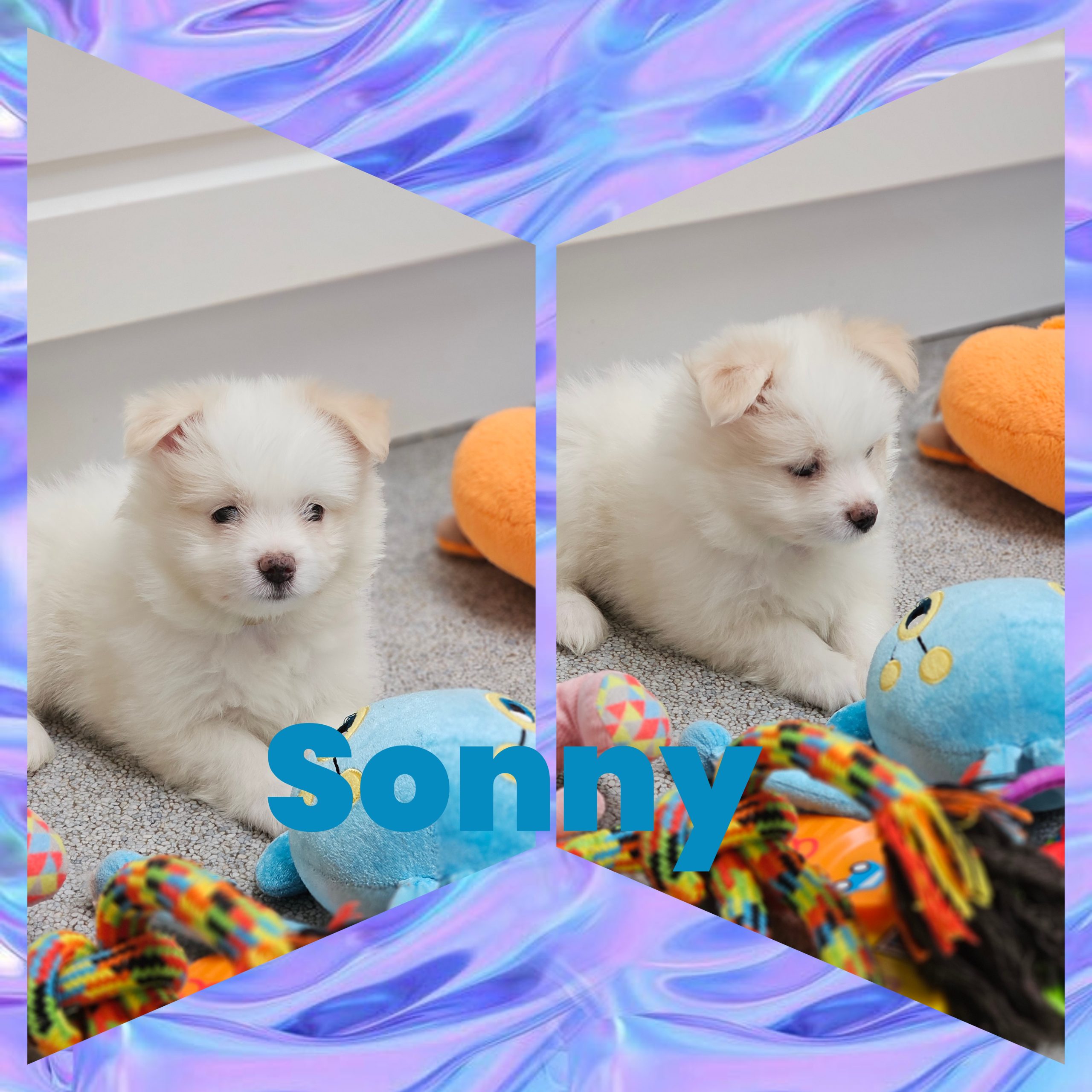 Sonny